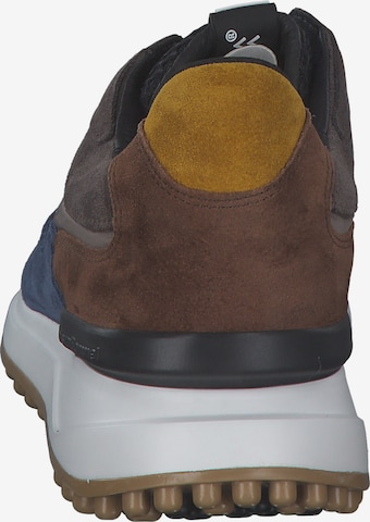 Floris van Bommel Sneakers '16339' in Brown