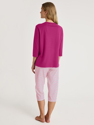 CALIDA Pyjama 'Cotton Special' in Lila