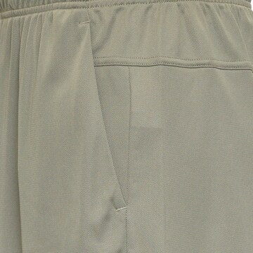 NIKE Regular Funktionsshorts 'DF FLEX' in Grün