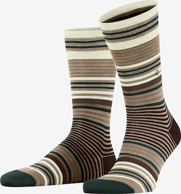 BURLINGTON Socks 'Stripe' in Brown: front