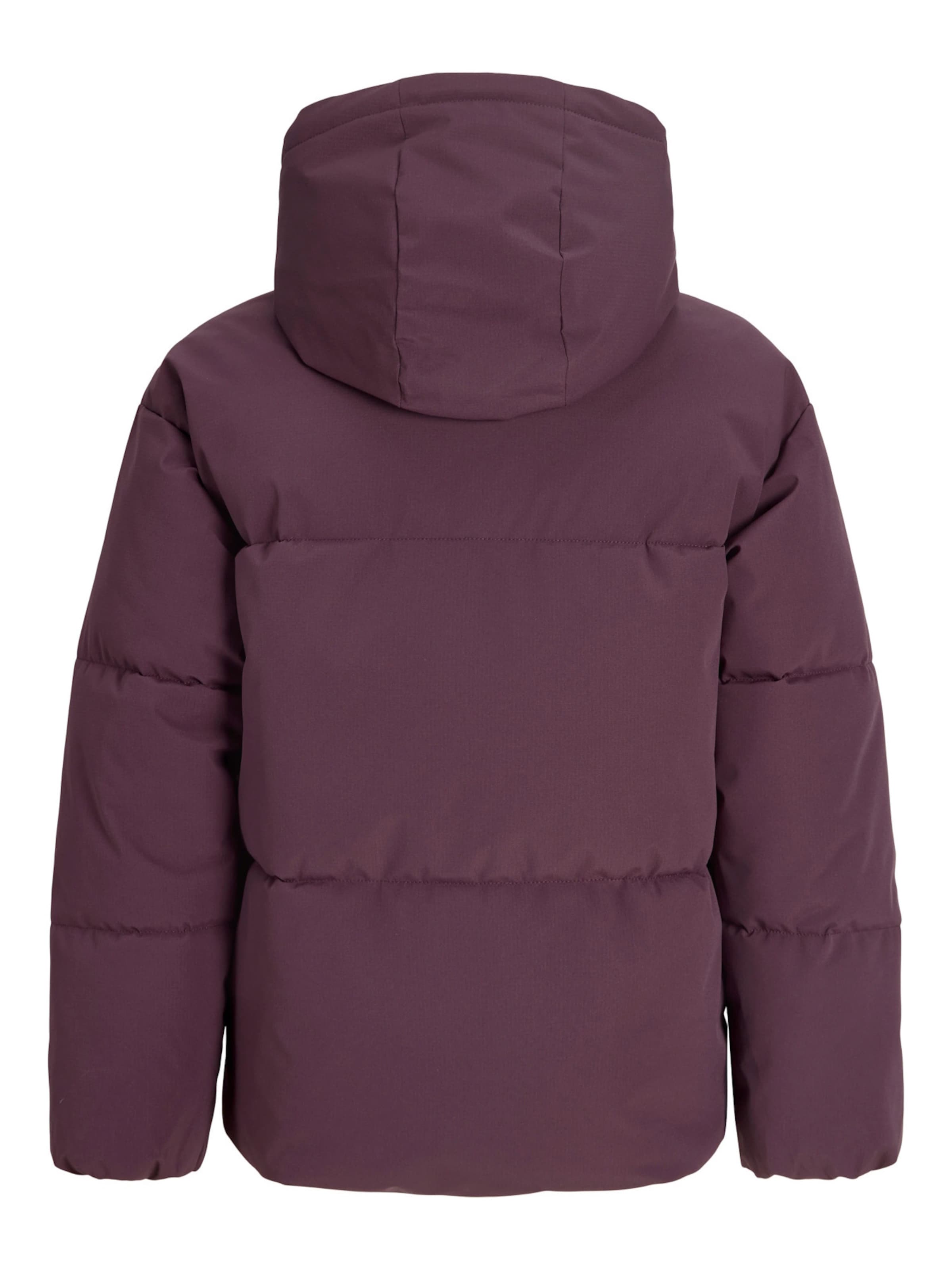 JJXX Winter Jacket 'JXGALAXY' in Purple