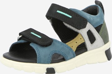 ECCO Sandals & Slippers in Blue: front