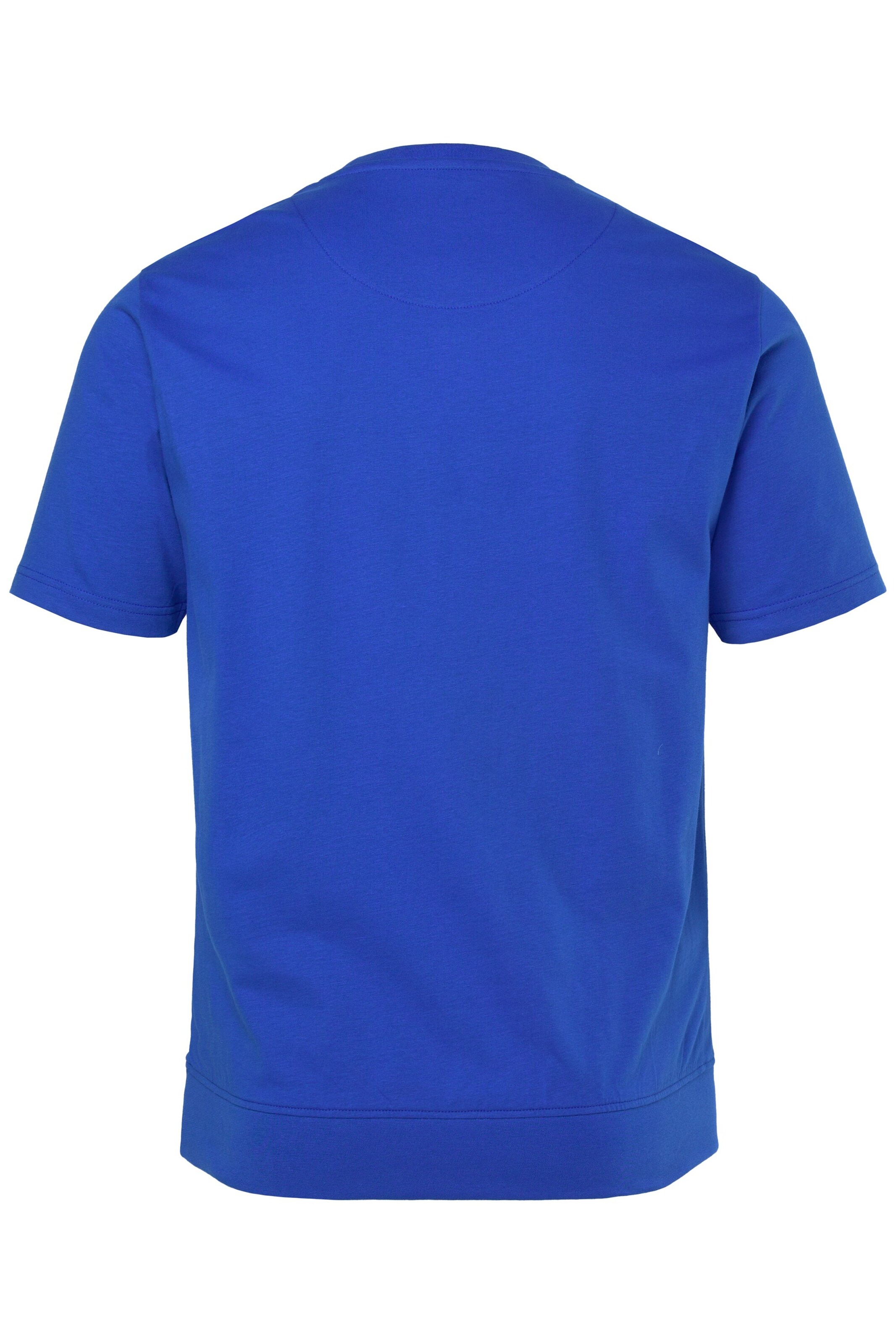Men Plus Shirt in Blue