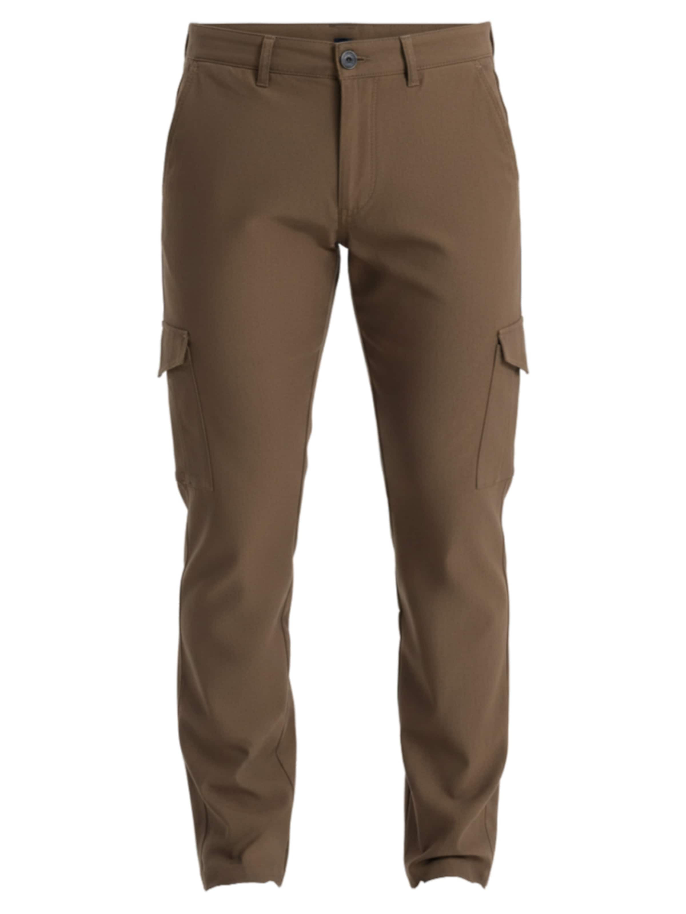 Ombre Regular Trousers in Brown