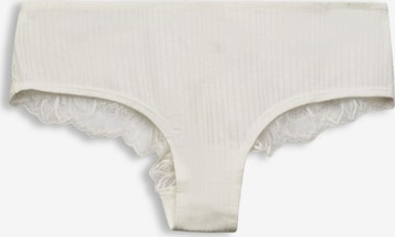 ESPRIT Panty in Weiß: predná strana