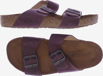 HAFLINGER Sandals & High-Heeled Sandals in 38 in Purple: front