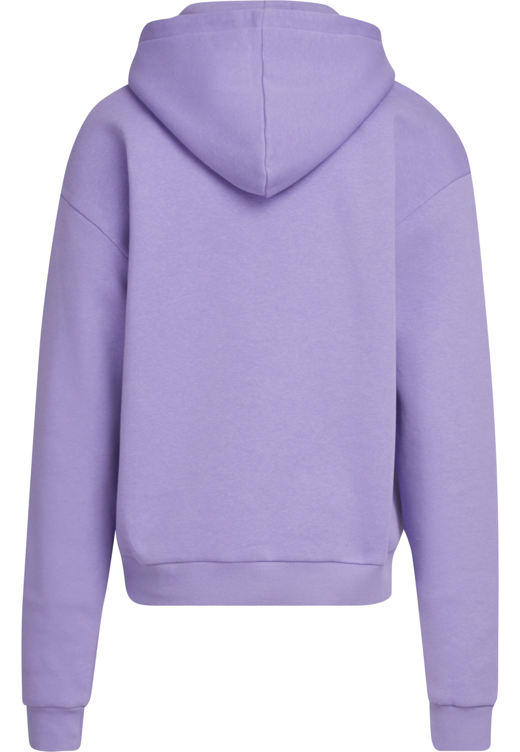Urban Classics Sweatshirt in Lila