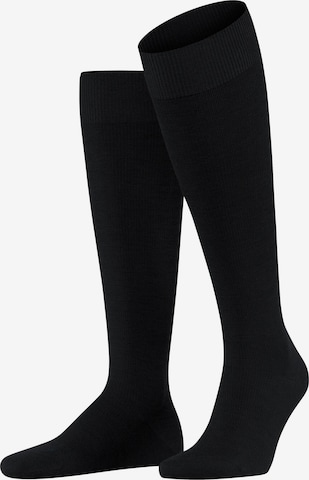 FALKE Knee High Socks 'Energizing Wool' in Black: front