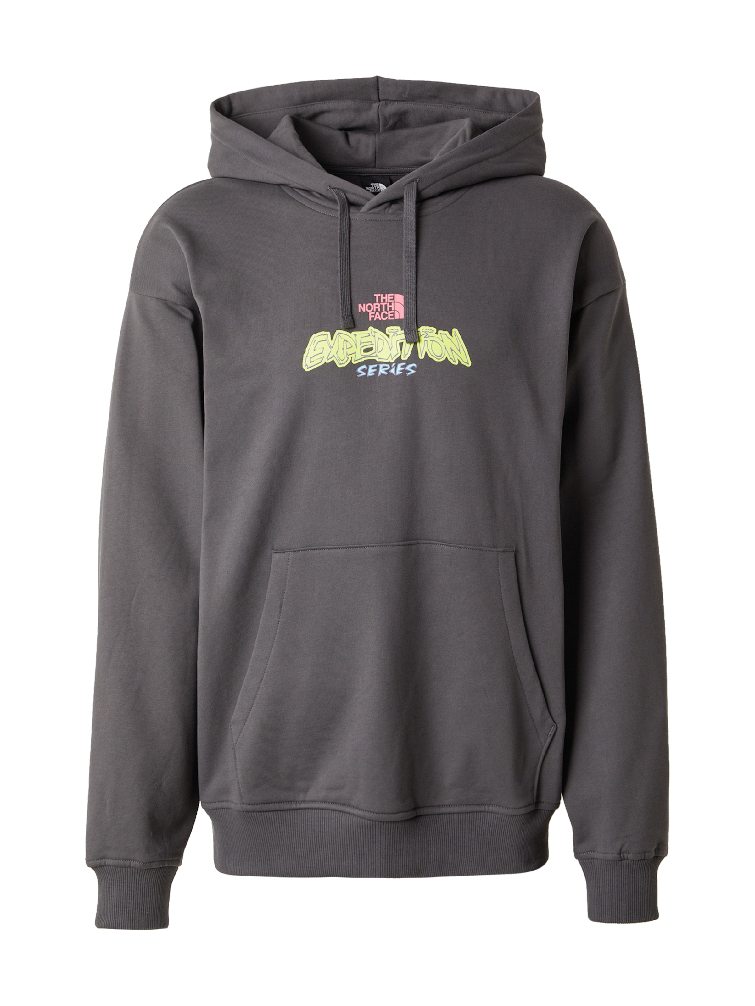 THE NORTH FACE Μπλούζα φούτερ 'U EXPEDITION CELEBRATION' σε γκρι: μπροστά