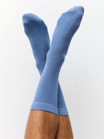 Albero Natur Socks 'Classic' in Blue