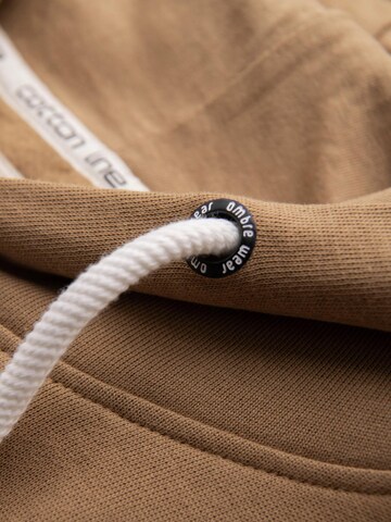Ombre Sweatshirt in Brown