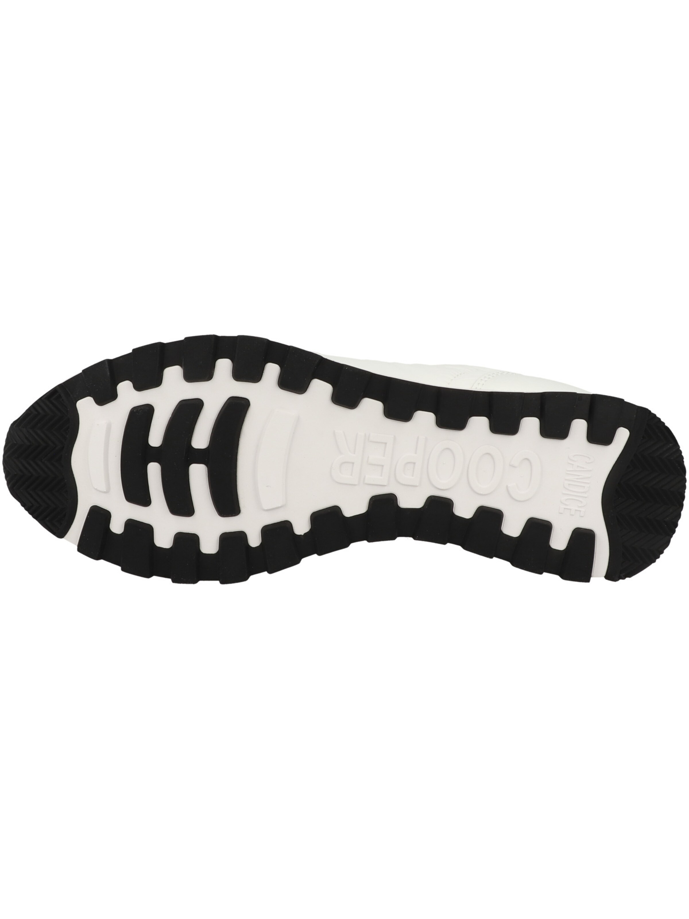 Candice Cooper Sneakers in White