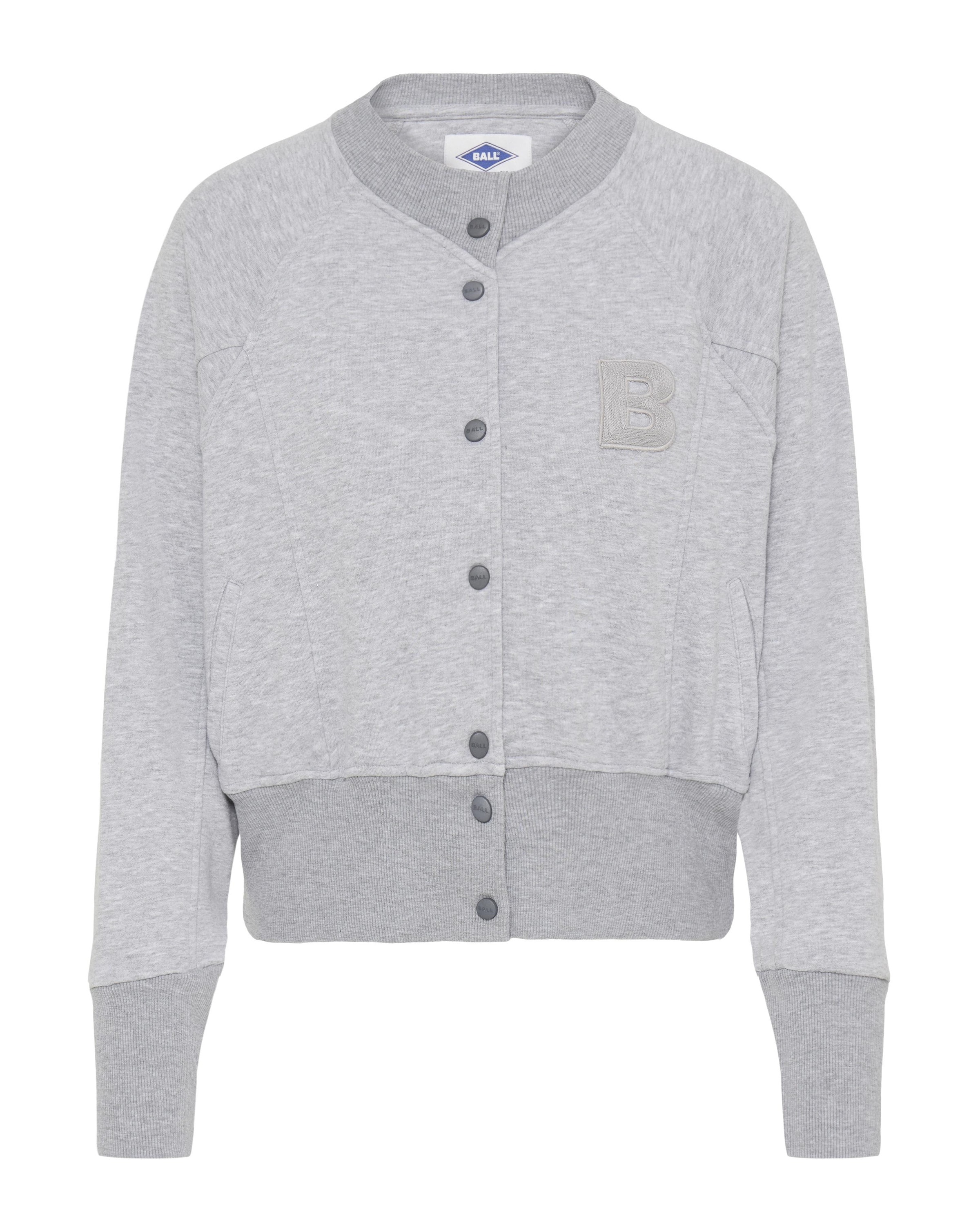 Ball Zip-Up Hoodie 'ALBERTA' in Grey: front