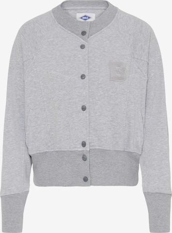 Ball Zip-Up Hoodie 'ALBERTA' in Grey: front