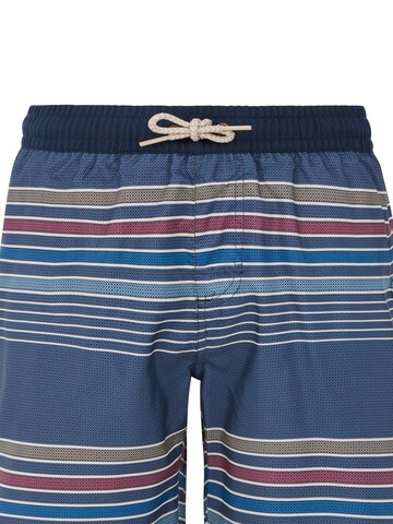 PROTEST Badeshorts 'PRTBANKS JR' in Blau