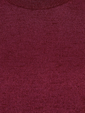 Calvin Klein Trui in Lila