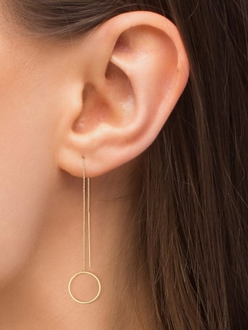 Heideman Earrings in Gold: front