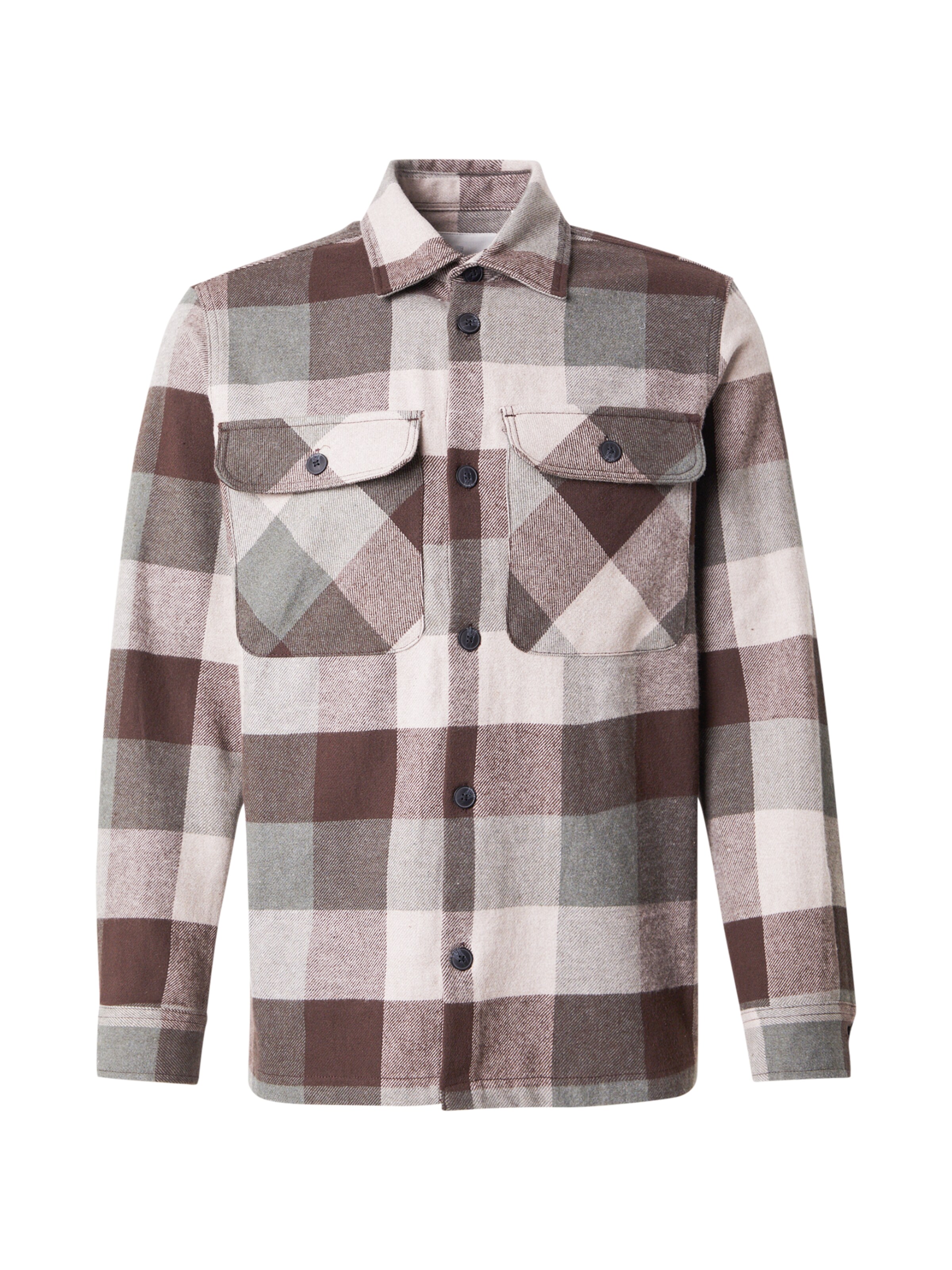 JACK & JONES Overhemd 'JPRRaymond' in Groen: voorkant