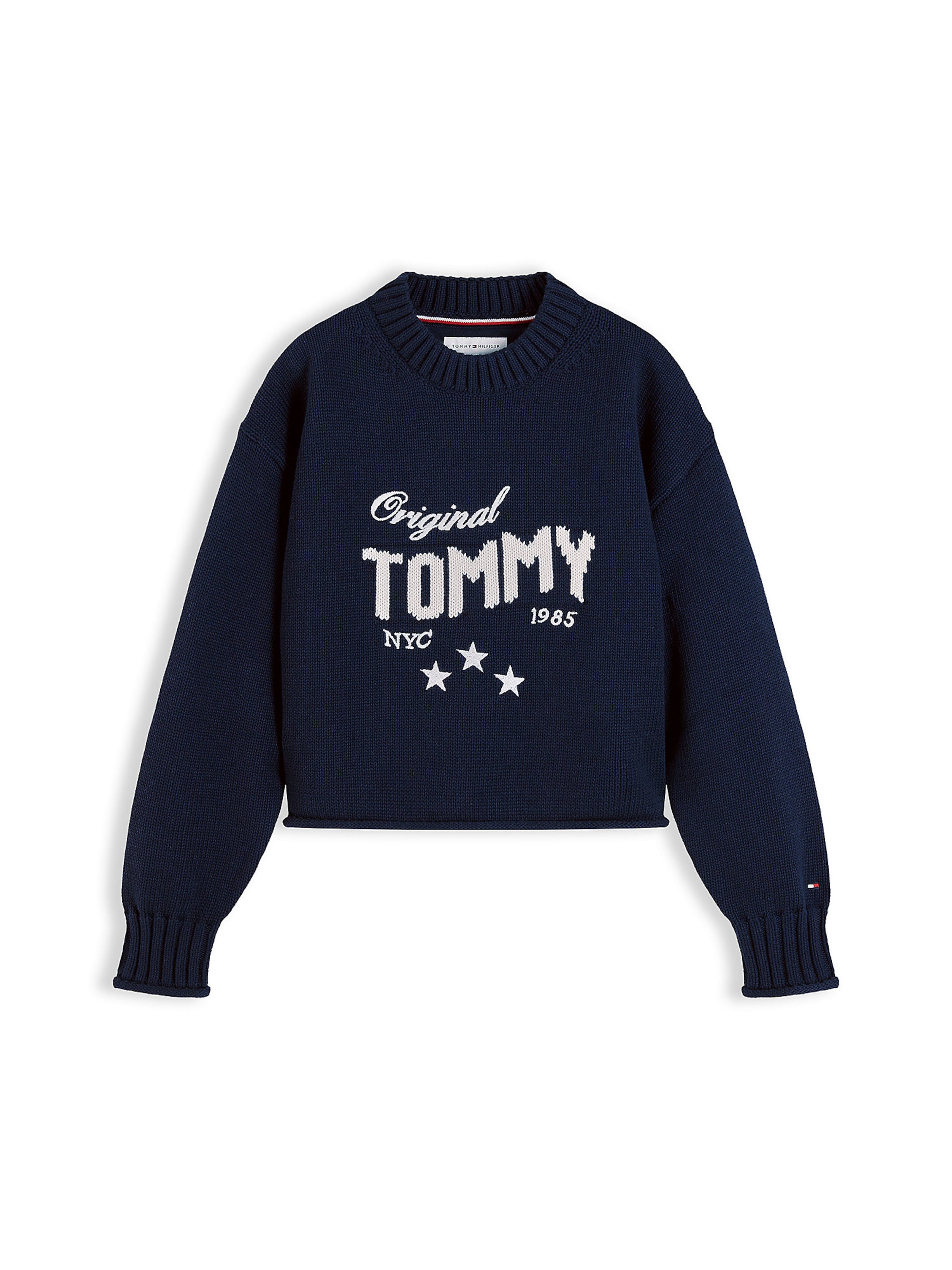 TOMMY HILFIGER Pullover in Blau: Vorderseite