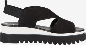 GABOR Sandals in Black