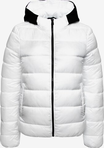 Champion Authentic Athletic Apparel Winter Jacket in White: front