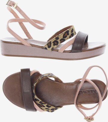 INUOVO Sandals & High-Heeled Sandals in 36 in Brown: front