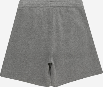 Abercrombie & Fitch Regular Панталон 'ESSENTIALS' в сиво