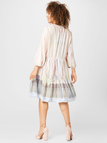 SAMOON Shirt Dress in Mixed colors