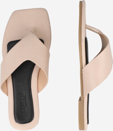 Tongs 'Anna' Dorothy Perkins en rose