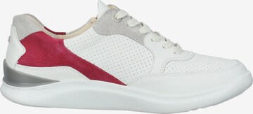 Ganter Sneakers in White