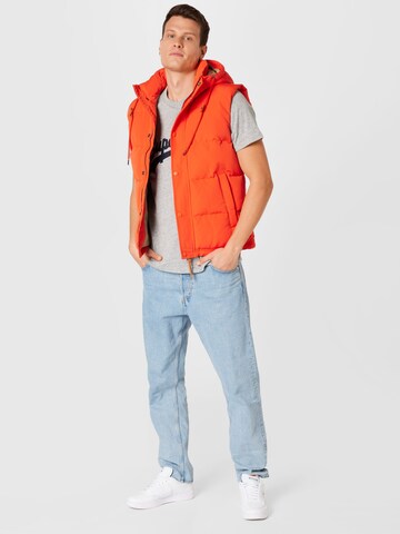 oranžs Superdry Veste 'Everest'