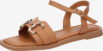 SIOUX Sandals 'Molsirka-704' in Brown: front