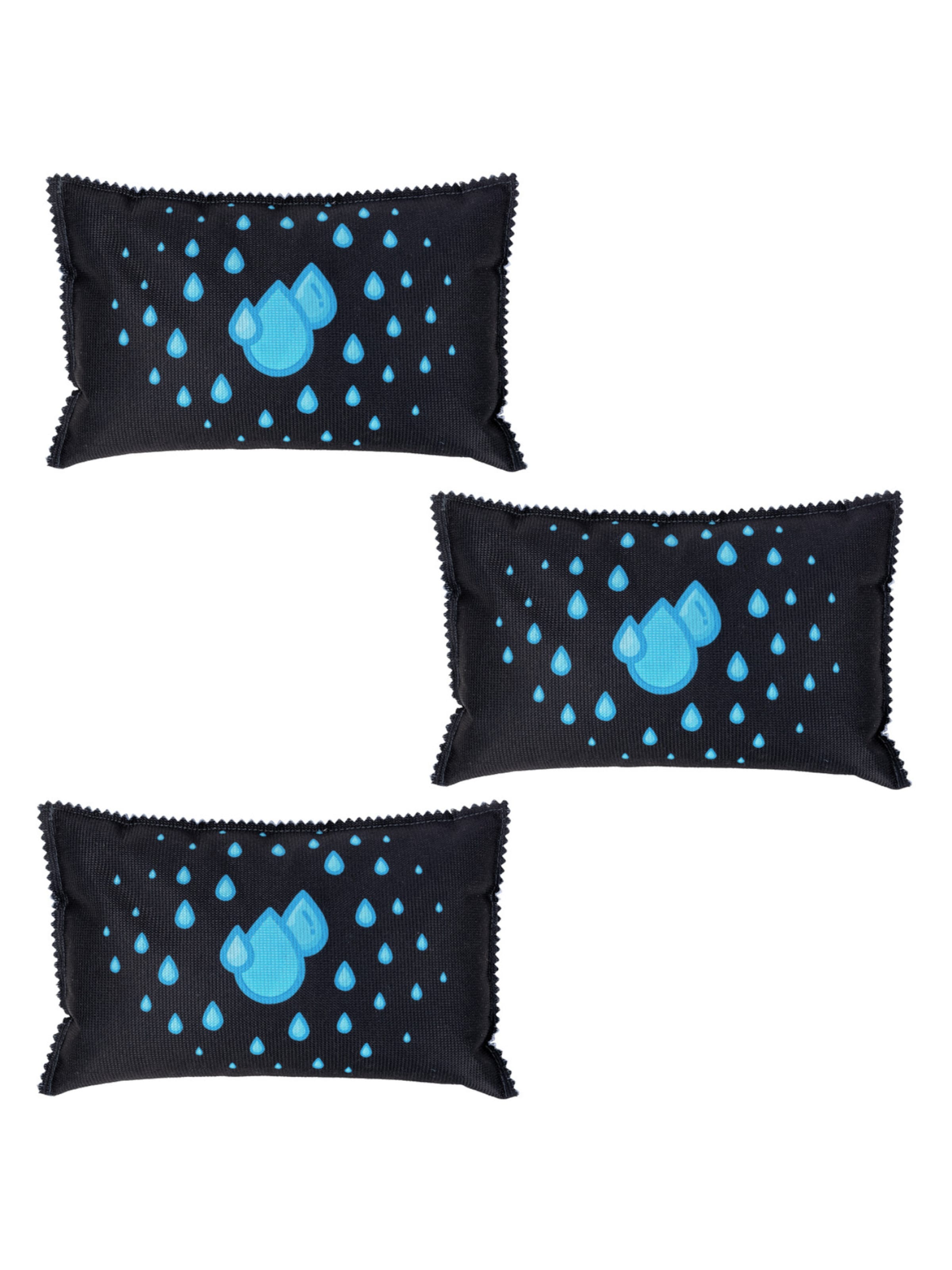 Wenko Auto-Entfeuchter in Schwarz: Vorderseite