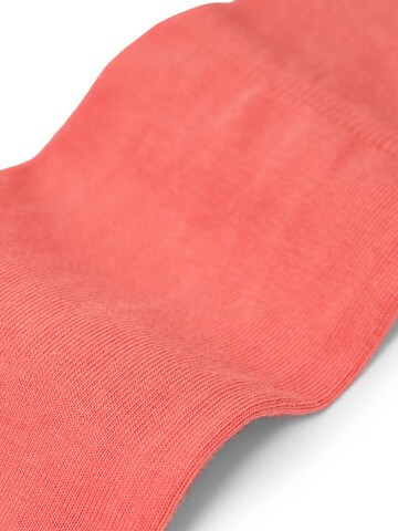 Von Jungfeld Socks 'SIGNATURE' in Orange