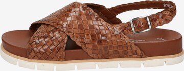 SIOUX Sandals ' Libuse-701 ' in Brown