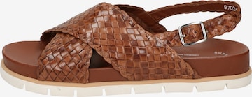 SIOUX Sandals ' Libuse-701 ' in Brown