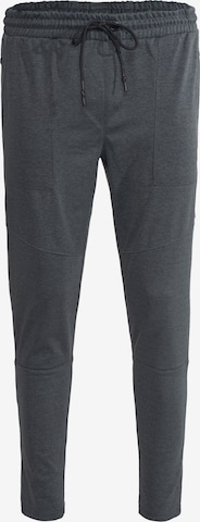 Effilé Pantalon Spyder en gris : devant