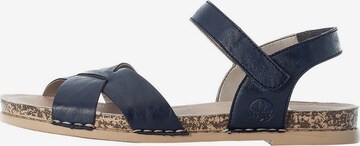 Rieker Sandals in Blue