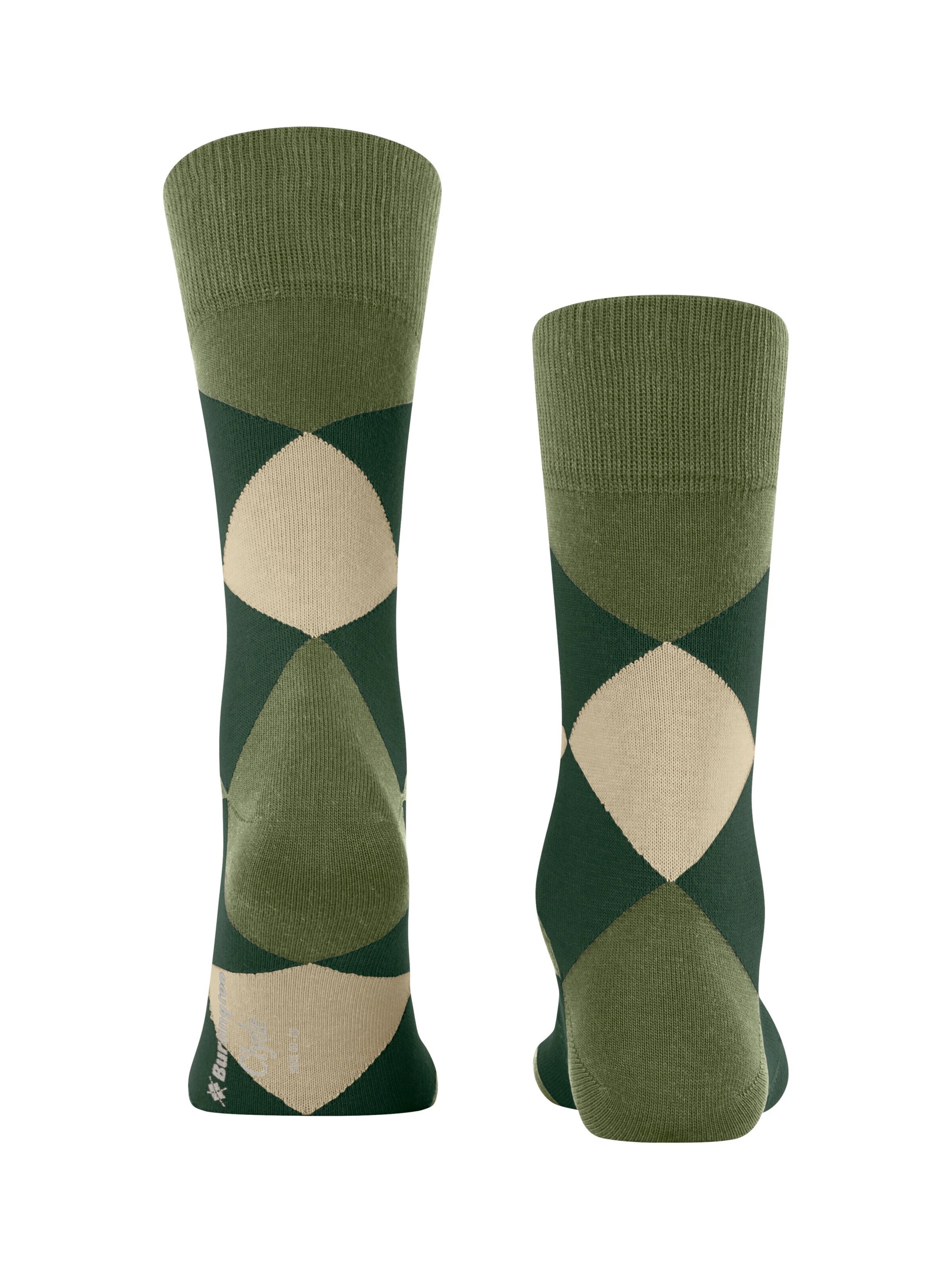 BURLINGTON Socks 'Clyde' in Green