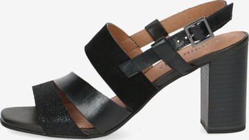 CAPRICE Sandals in Black