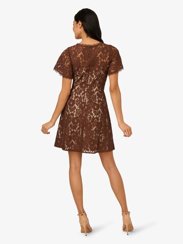 Adrianna Papell Cocktail Dress 'Lace' in Brown