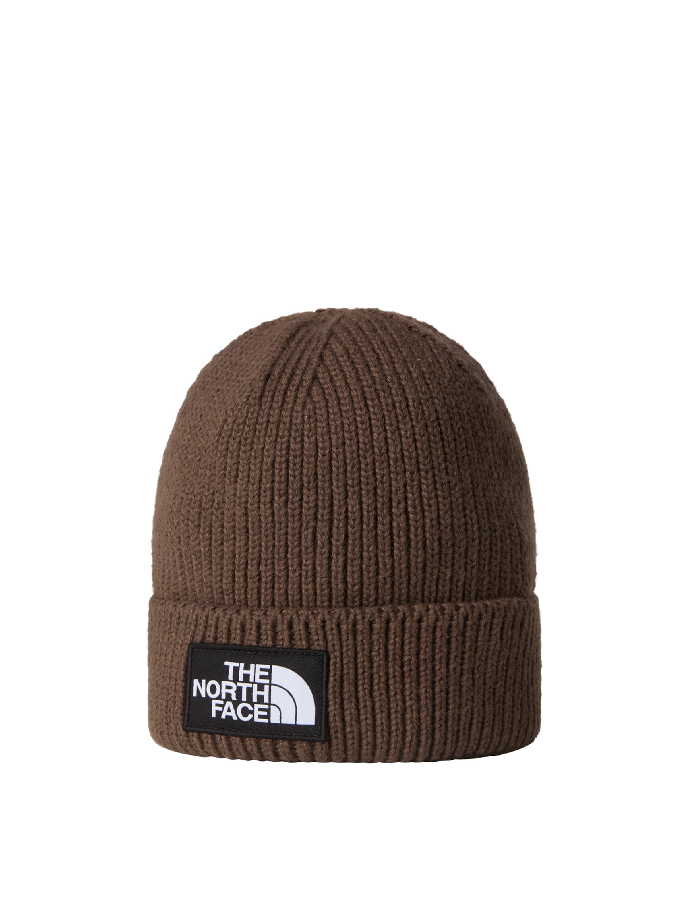 THE NORTH FACE Beanie in Green: front