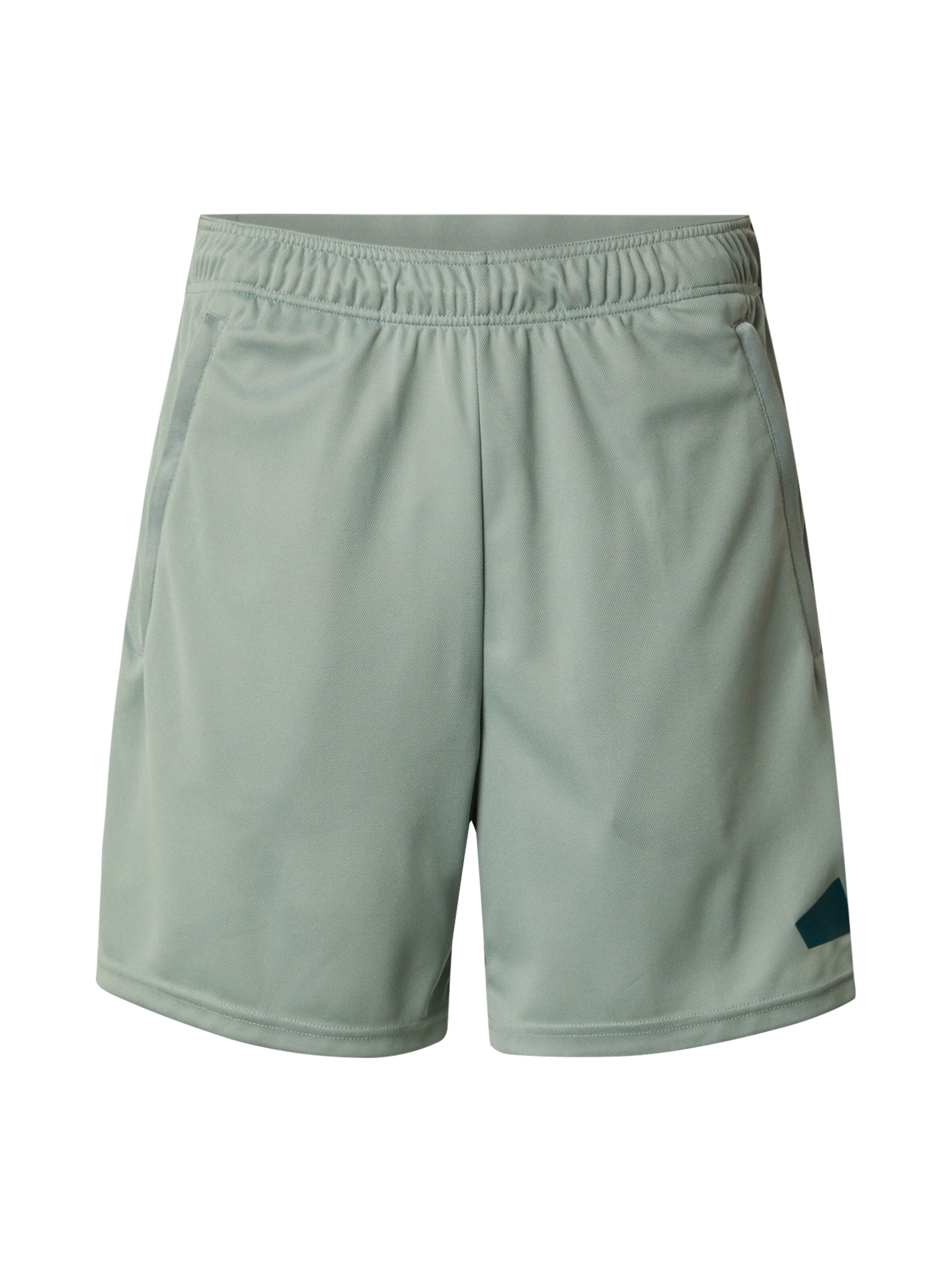 Pantaloni sportivi 'Essentials' di ADIDAS PERFORMANCE in verde: frontale