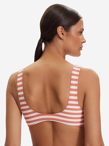 Classico Bikini 'BRALETTE LV00Q61100' di Calvin Klein Jeans in arancione