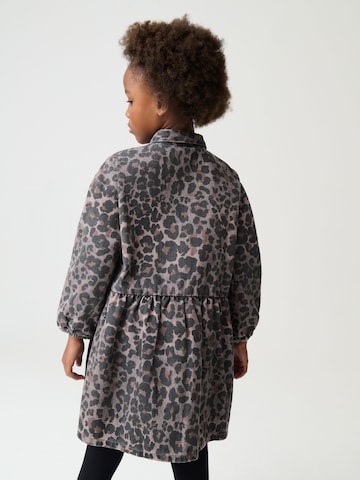 Next Obleka | rjava barva