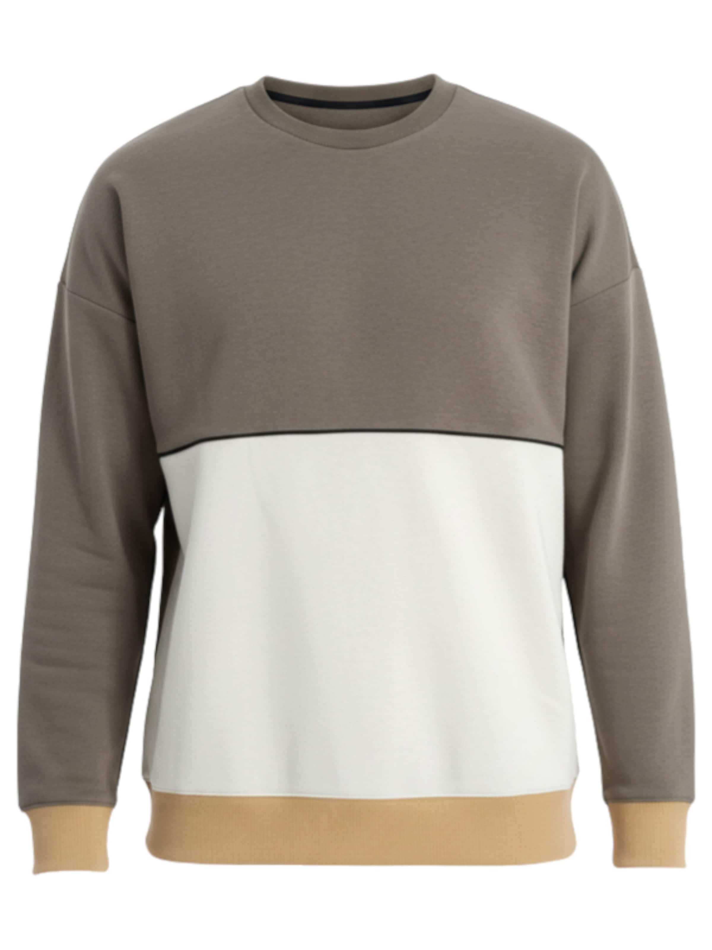 Ombre Sweat-shirt en beige / gris / blanc, Vue avec produit