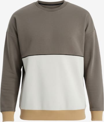 Sweat-shirt Ombre en marron : devant