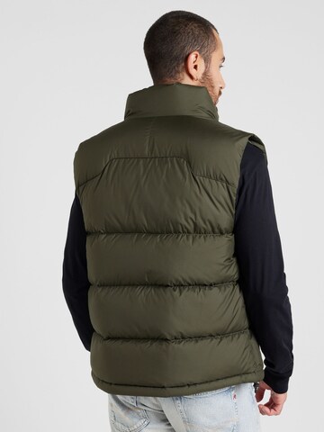 Polo Ralph Lauren Vesta – zelená