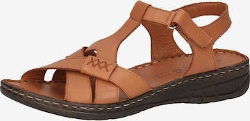 Sandales CAPRICE en marron : devant
