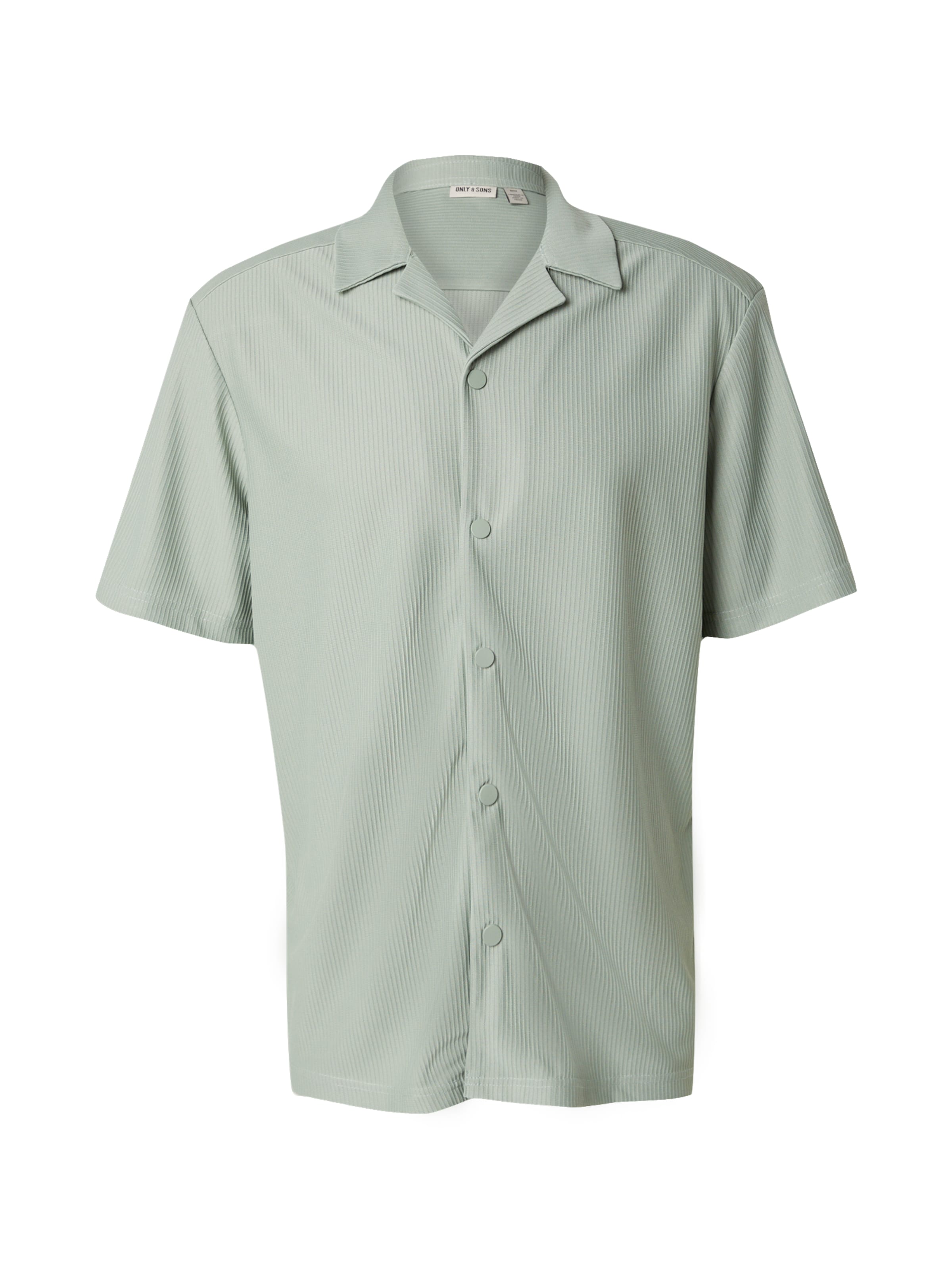 Only & Sons Regular fit Button Up Shirt 'ONSKari' in Green: front